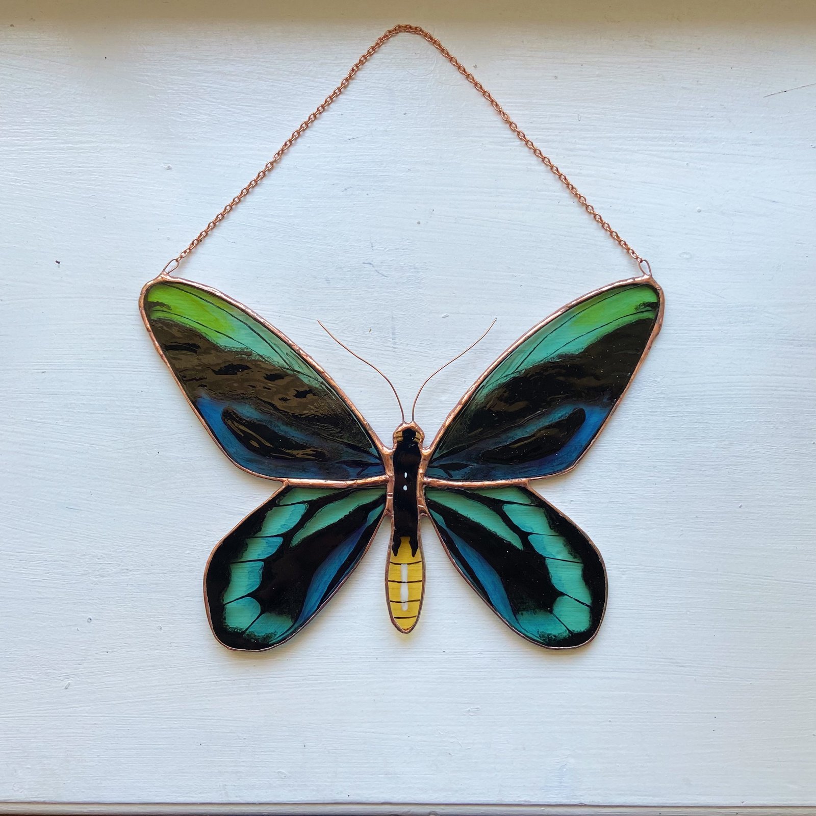 BUTTERFLY - oj Green and Gold Yellow Large Birdwing Butterfly Ornithoptera